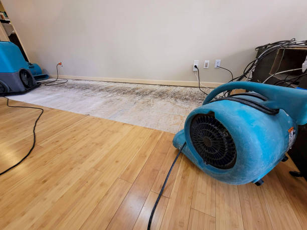 Professional Sewage Cleanup technician working in Blue, AZ